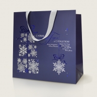 Новогодние пакеты