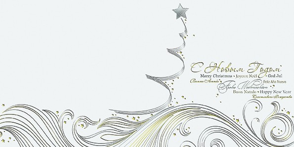 06635 белое серебро