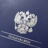 004-105 синяя