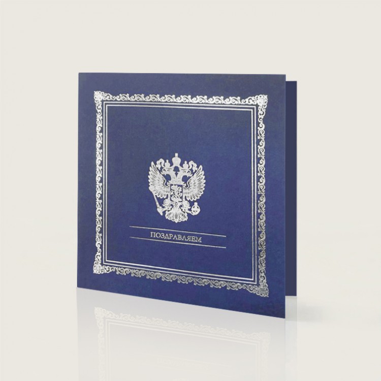 004-105 синяя