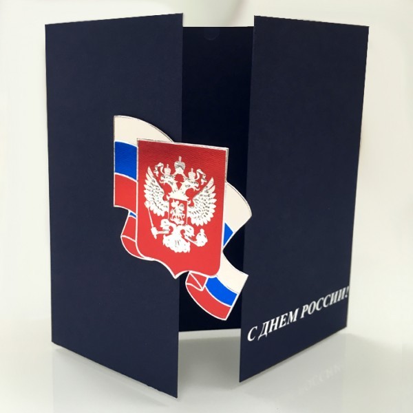 005-200 RF темно-синяя