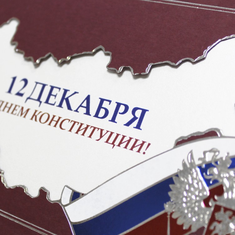 004-296 const бордовая