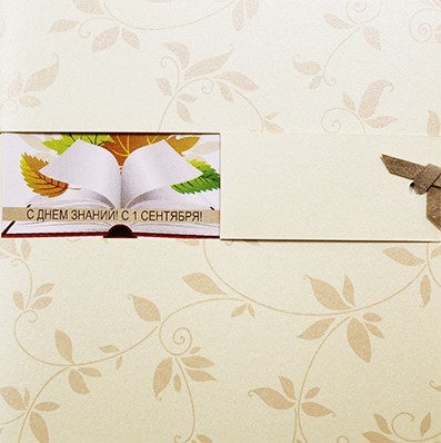 118-109 z бежевая 