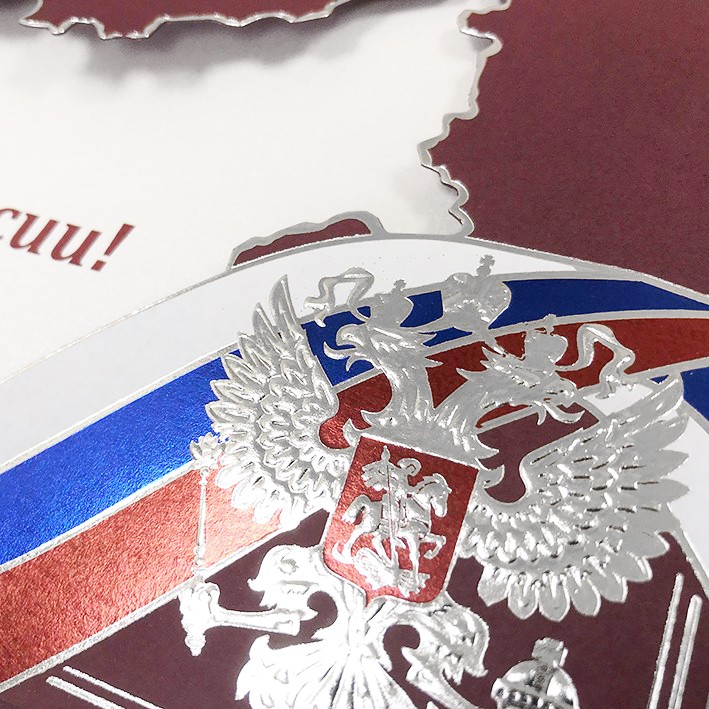 004-296 бордовая