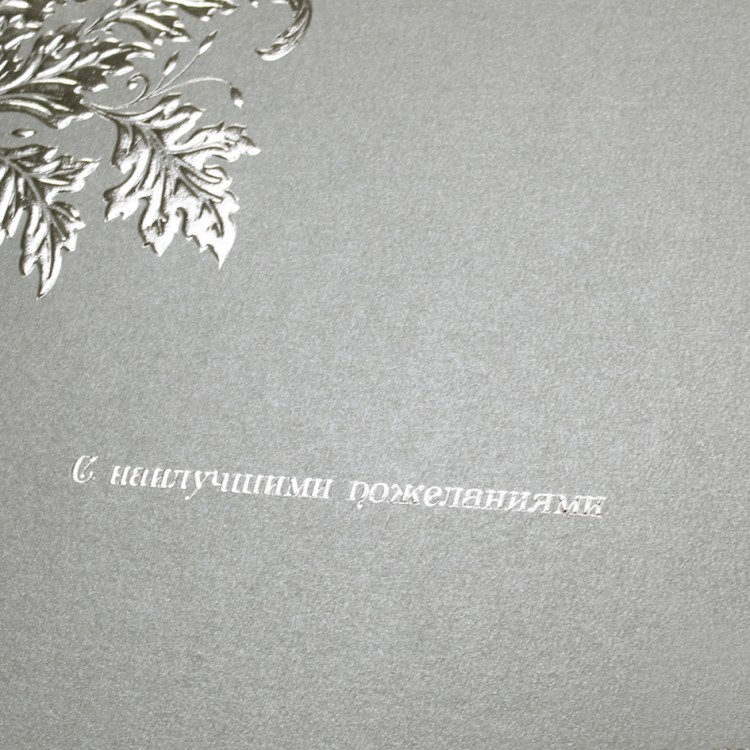 005-108 серебро