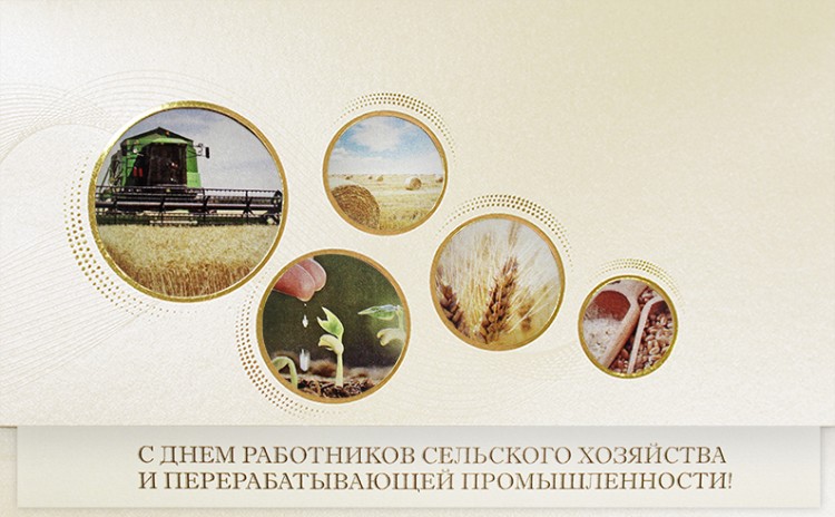 005-295 золотистая