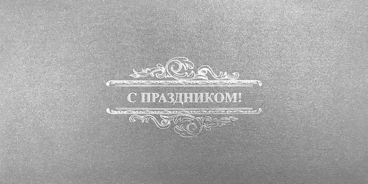 004-113 серебряная