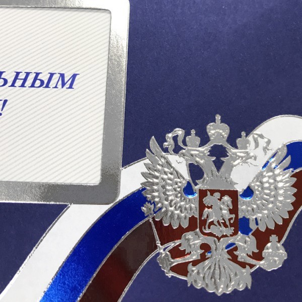 004-271 prof синяя