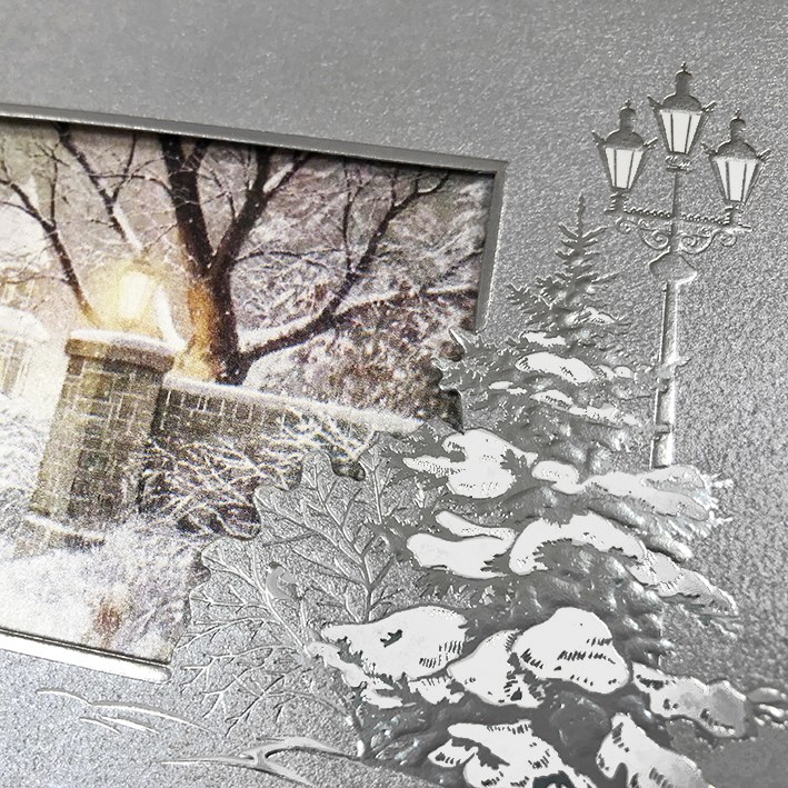 06603 серебро 