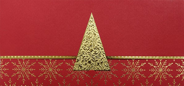 06620 красная