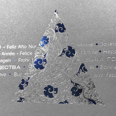 06249 серебро