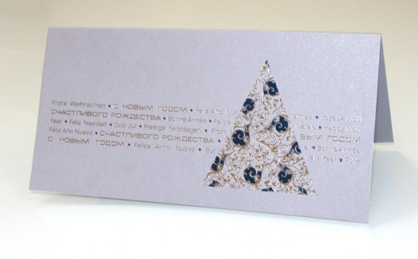 06249 серебро