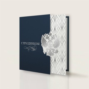 004-355 синяя