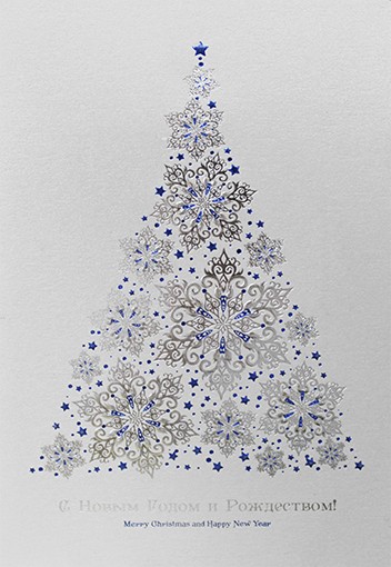 06396 серебро