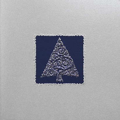 06397 серебро