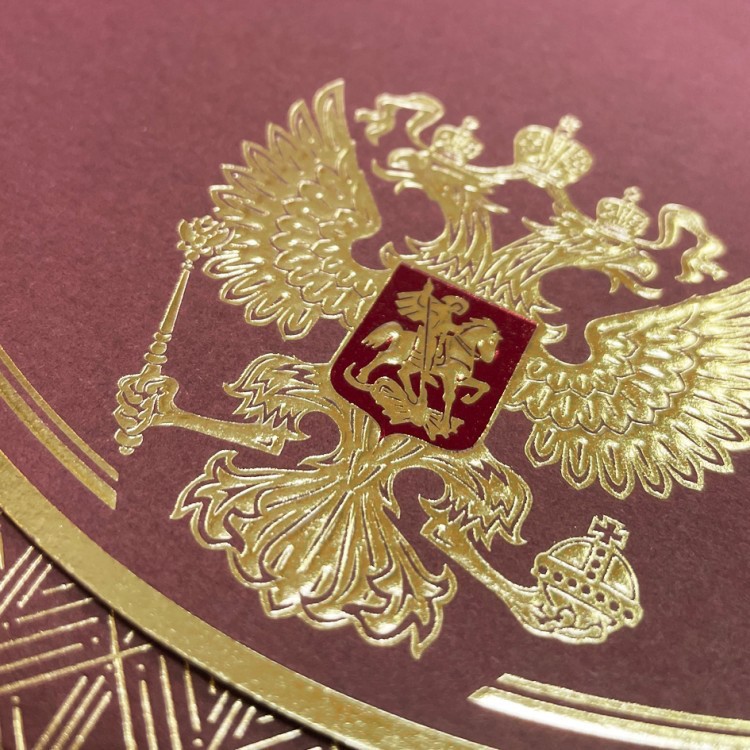 005-300 бордовая